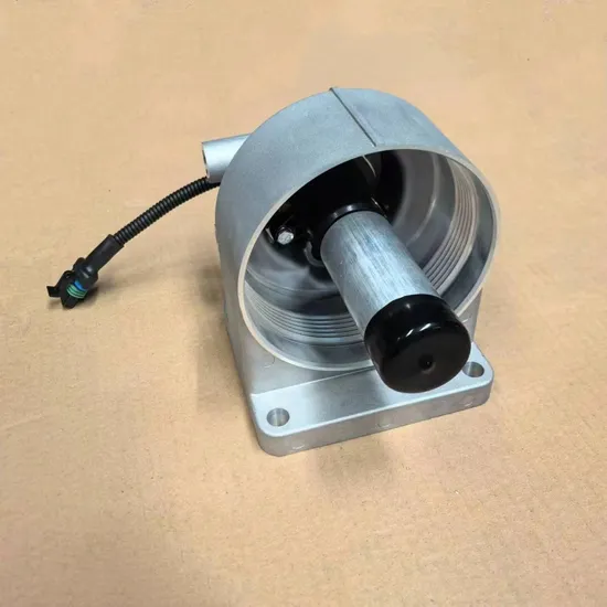 Electric Pump Heated Fuel Coarse Filter Wg9925550960 Electric Heating Filters Fit Foton Weichai HOWO Shacman Dongfeng