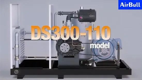 22kw Permanent Magnet Variable Frequency Screw Air Compressor with Advanced Air Filtration 