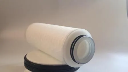 0.45um Nylon Microporous Pleated Filter Cartridge for Pharmaceutical and Chemical 