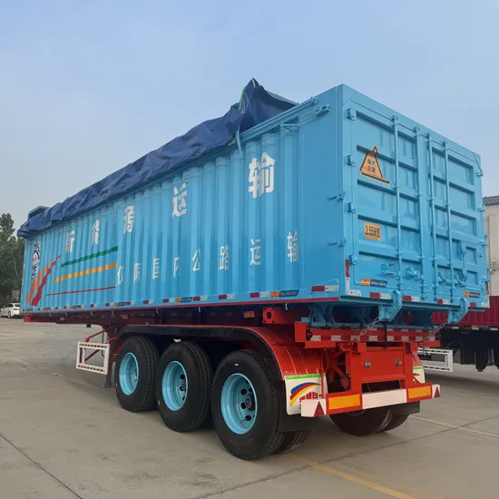 Container Transport with Tipper Function Semi Trailer for Sale 